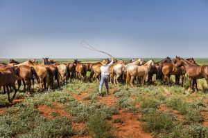 waggonercowboys_june15_37241